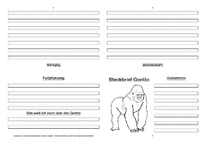 Gorilla-Faltbuch-vierseitig-3.pdf